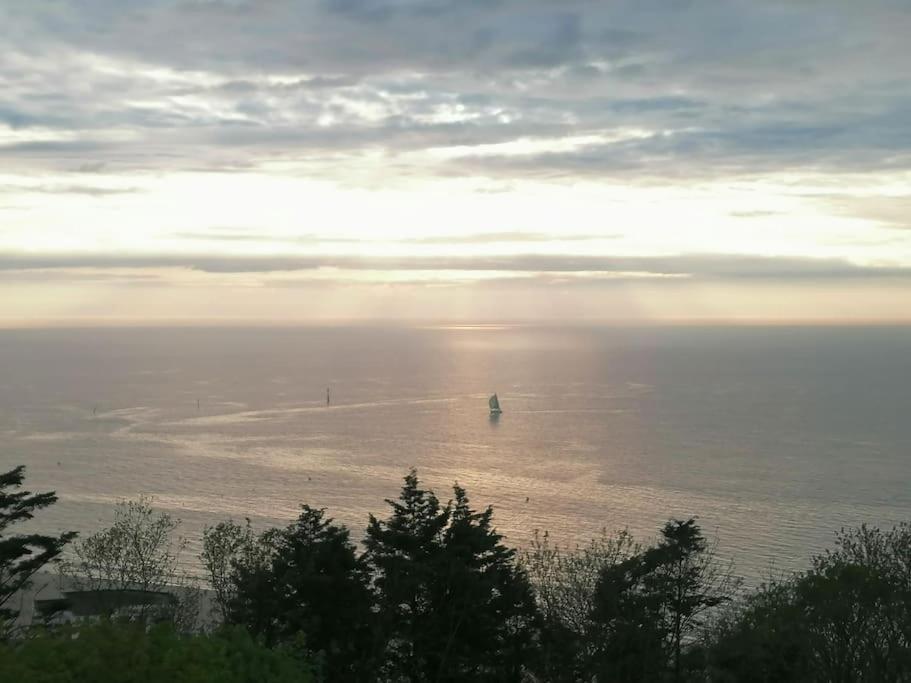 Magnifique Cocon Vue Mer Trouville-sur-Mer Eksteriør billede